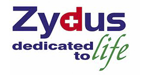 Diesel Generator Manufacturer Zydus